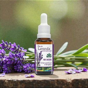 Óleo de lavanda pronto para pele