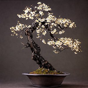 Ipê Branco - Tabebuia roseoalba: 500 Sementes