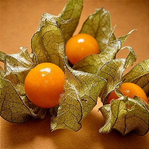 Physalis Fruta (Golden Berry): 100 Sementes