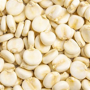 50 Sementes Milho Branco Mote Peruano Andino
