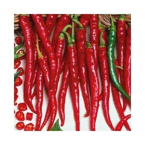 Pimenta Cayenne: 40 Sementes