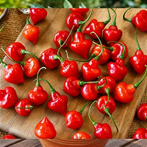 Pimenta Piãozinho: 20 Sementes