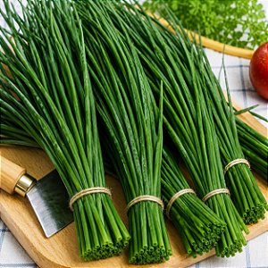Cebolinha Todo Ano (Ciboulette): 20 Sementes