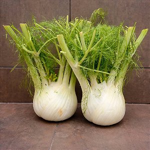 Funcho (Erva Doce de Cabeça): 20 Sementes