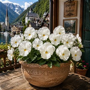 Amor Perfeito Branco Gigante Suíço - Viola tricolor: 15 Sementes