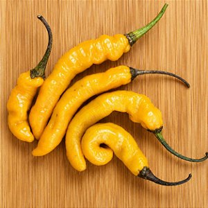 Pimenta Cayenne Amarela (EXCLUSIVIDADE) Caiena : 10 Sementes