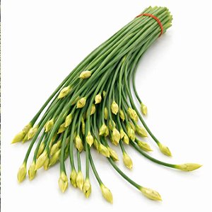 Cebolinha Chinesa (Nirá) - Allium tuberosum - 20 Sementes