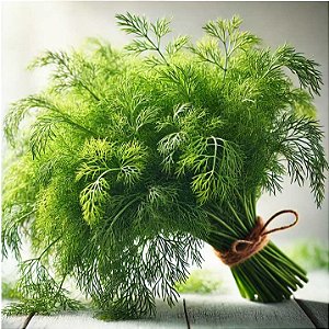 Endro ORGÂNICO: 20 Sementes