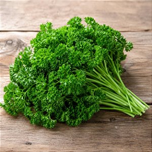 Salsa Crespa ORGÂNICO: 50 Sementes
