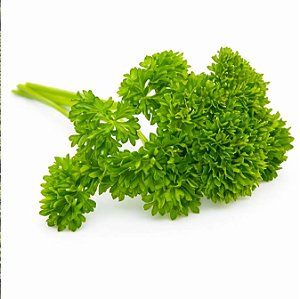 Salsa Crespa ORGÂNICO: 50 Sementes