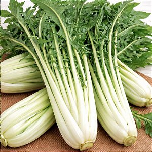 Almeirão Catalonha: 50 Sementes