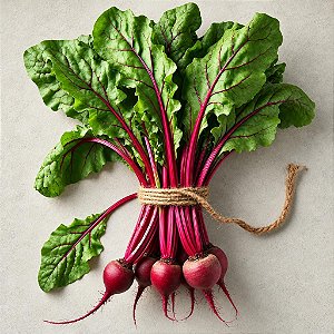 Beterraba Early Wonder ORGÂNICO: 20 Sementes
