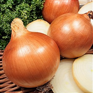 Cebola: 50 Sementes
