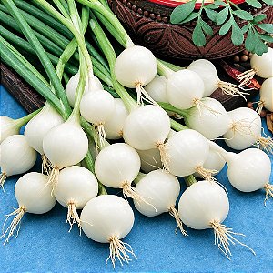 Cebolinha Para Conserva: 20 Sementes