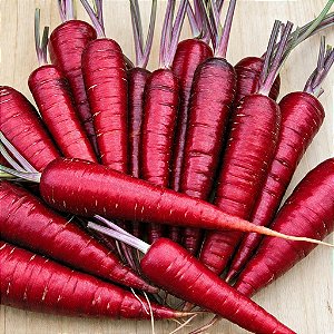 Cenoura Red Atomic (vermelha): 20 Sementes