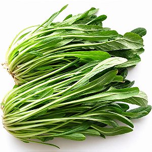 Couve Mibuna Japonesa: 20 Sementes