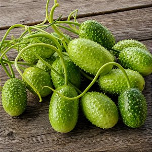 Maxixe Liso Japonês: 20 Sementes