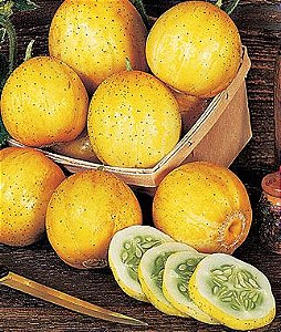 Pepino Limão (Lemon): 10 Sementes