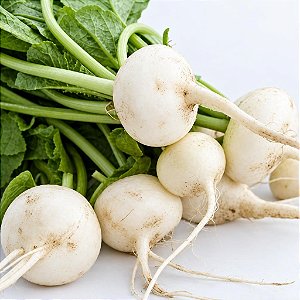 Rabanete Branco: 20 Sementes