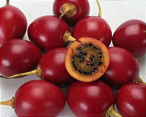Tamarillo (Tomate Árvore): 5 Sementes