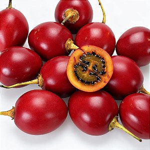 Tamarillo (Tomate Árvore): 5 Sementes