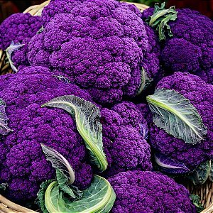 Couve Flor Roxa: 50 Sementes