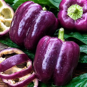Pimentão Roxo: 5 Sementes