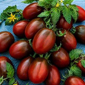 Tomate Black Plum: 20 Sementes