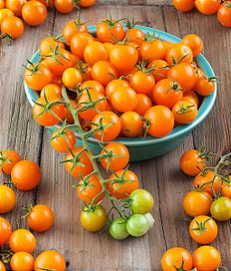 Tomate Cereja Laranja: 20 Sementes