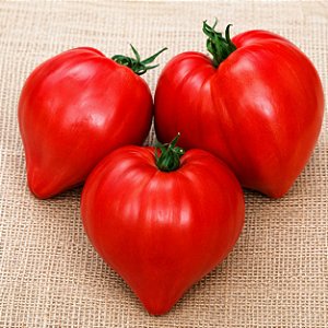 Tomate Coração de Boi: 20 Sementes