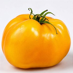 Tomate Golden Sunray: 20 Sementes