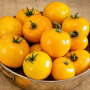 Tomate Lemon Boy: 15 Sementes