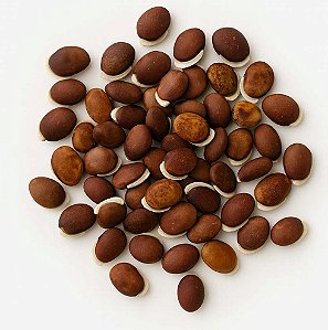 Sementes de Feijão Orelha - 20 Sementes