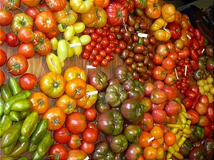 Tomates Sortidos - 500 Sementes