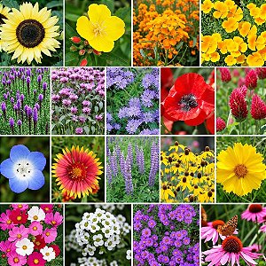 Mix de Flores Sortidas: 1500+ Sementes
