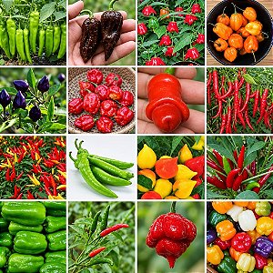 Pimentas Sortidas: 1000 Sementes