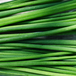 Cebolinha Todo Ano (Ciboulette): 100 Sementes