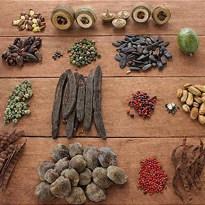 50 Kits Sementes de Árvores Nativas Variadas Para Brinde - 5 Sementes Cada