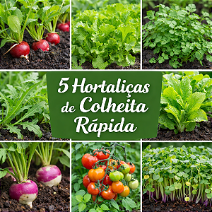 Kit 5 Espécies de Hortaliças “Plante e colha rápido”