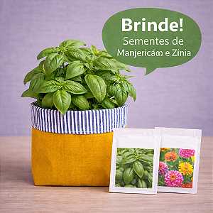 Cachepô de Tecido Estampado Dupla Face Listrado + Brinde