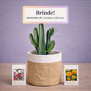 Cachepô Dupla Face de Juta com Forro em Algodão Cru + Brinde