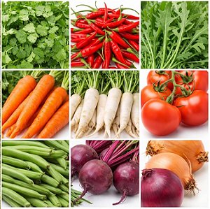 250 Sementes de Hortaliças Melhores Para Plantar no Inverno