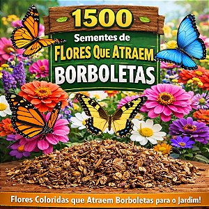 Flores Sortidas Que Atraem Borboletas: 1500+ Sementes