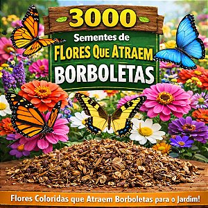 Flores Sortidas Que Atraem Borboletas: 3000+ Sementes