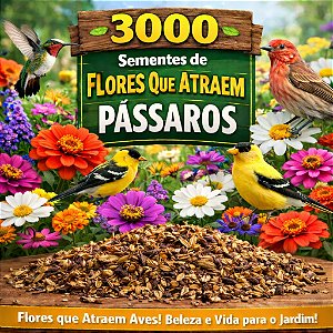 Flores Sortidas Que Atraem Beija-Flor (Pássaros): 3000+ Sementes