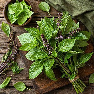 Alfavaca: 100 Sementes