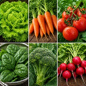 250 Sementes de Hortaliças Melhores Para Plantar no Outono