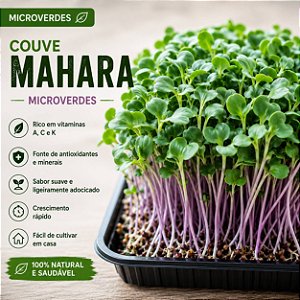 Microverdes Couve Mahara: 500 Sementes