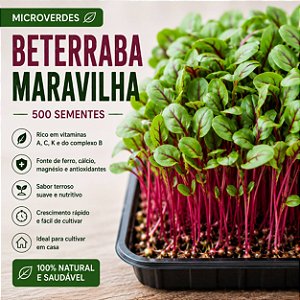Microverdes Beterraba Maravilha: 500 Sementes