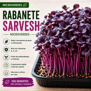 Microverdes Rabanete Sarvesh: 500 Sementes